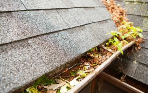 How to Stop Gutters Getting Blocked