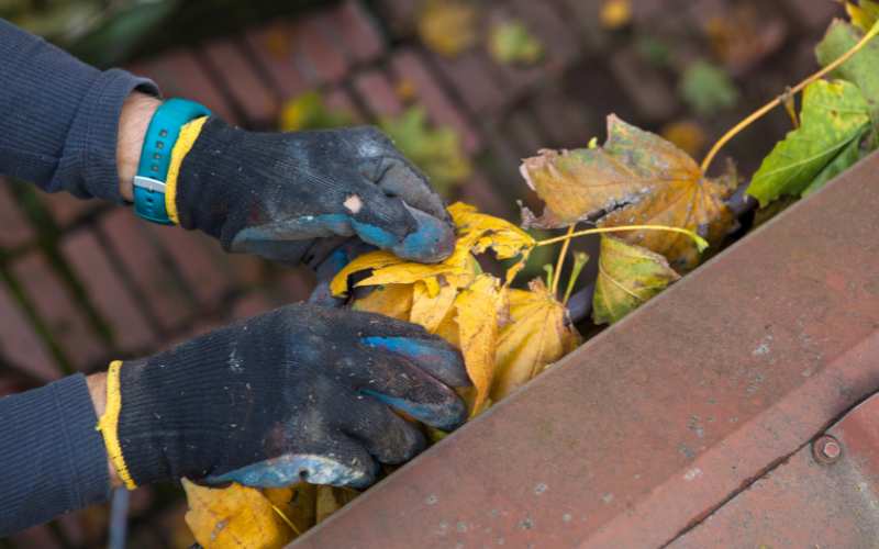 gutter cleaning and maintenance